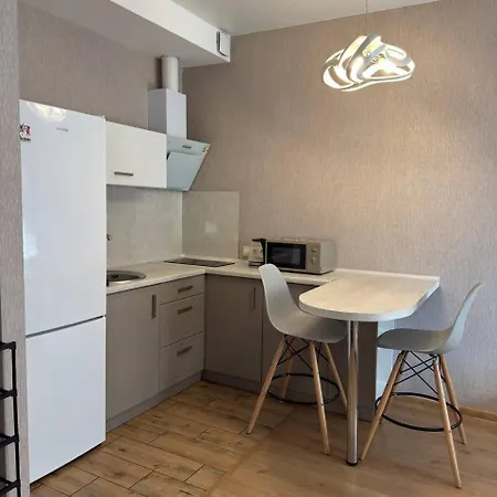 смарт в аркадії парк перемоги море 4 мин гагарин плаза передплата 3й поверх Apartment